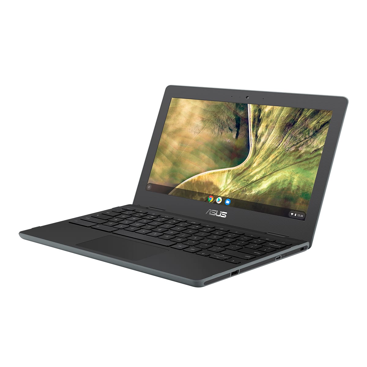 Chromebook C204MA-GJ0470 Celeron N4020 64GB EMMC 4GB 11.6 ChromeOS